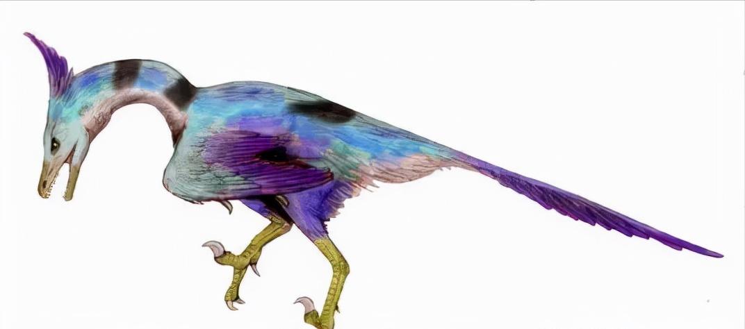 恐龙世界认识史前各种恐龙,食草恐龙和食肉恐龙科普视频