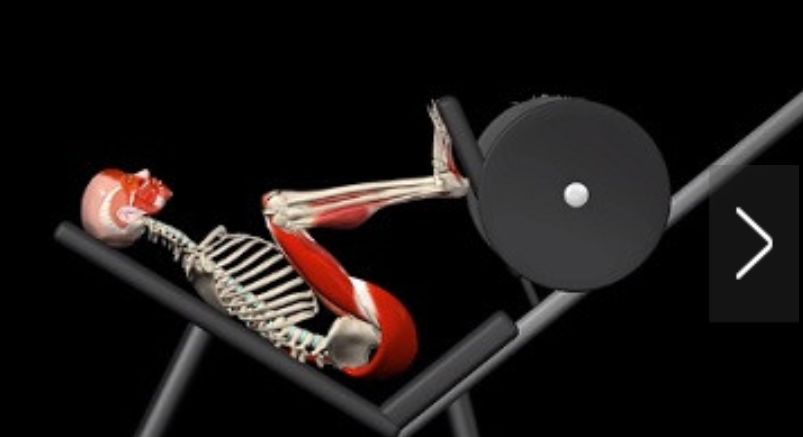 倒蹬机对膝盖的损伤怎样,倒蹬机的正确训练方法有哪几种