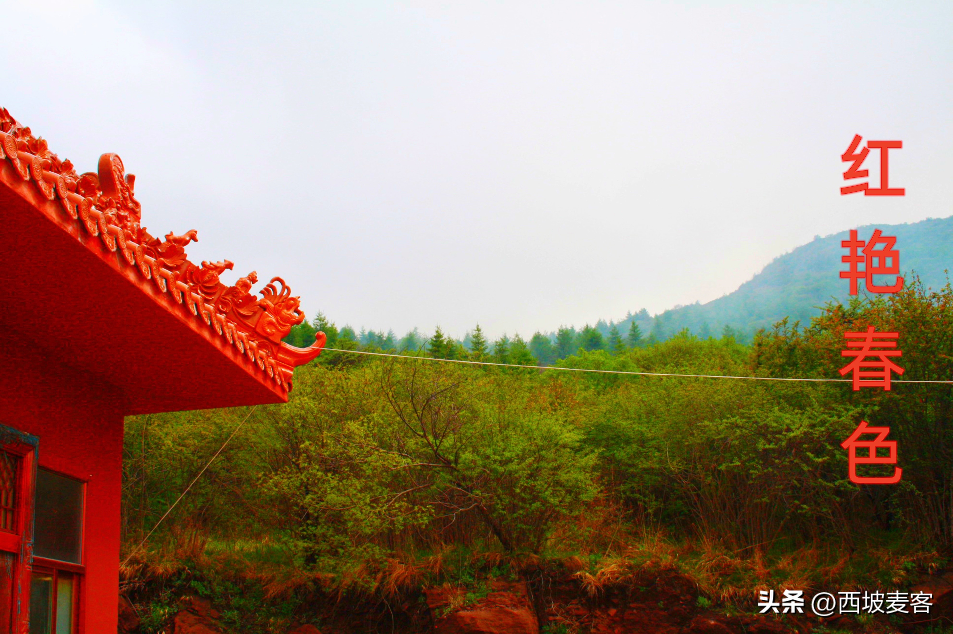 洋务运动和戊戌维新运动的意义,戊戌维新运动的意义和教训