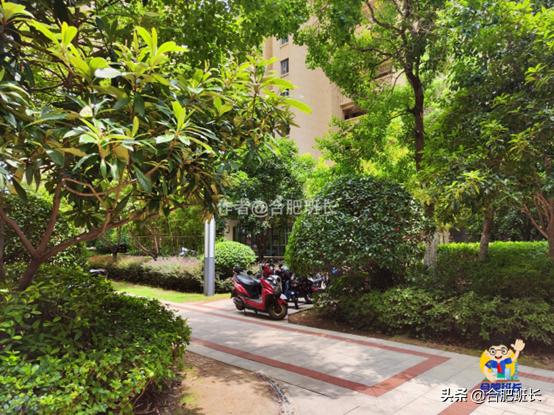 滨湖万科蓝山公区,滨湖万科蓝山容积率