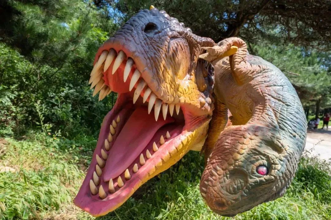 济南遛娃嗨玩这里享优惠,济南遛娃乐园周末