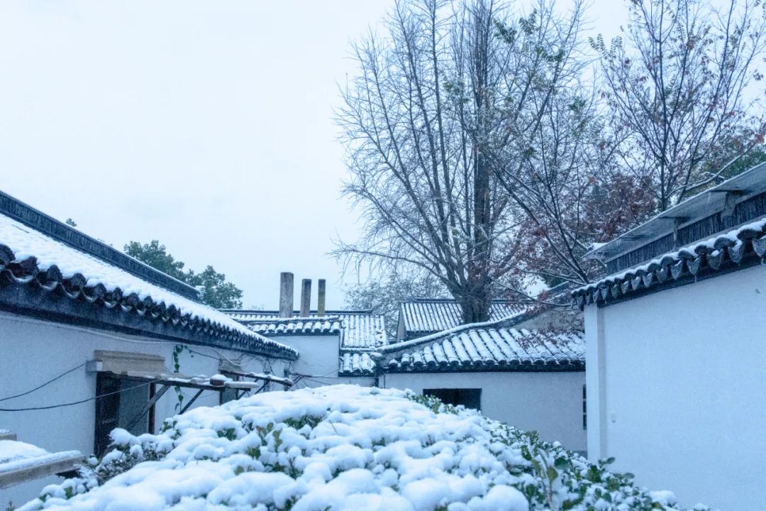 冬雪唯美诗句,关于冬雪的唯美诗句