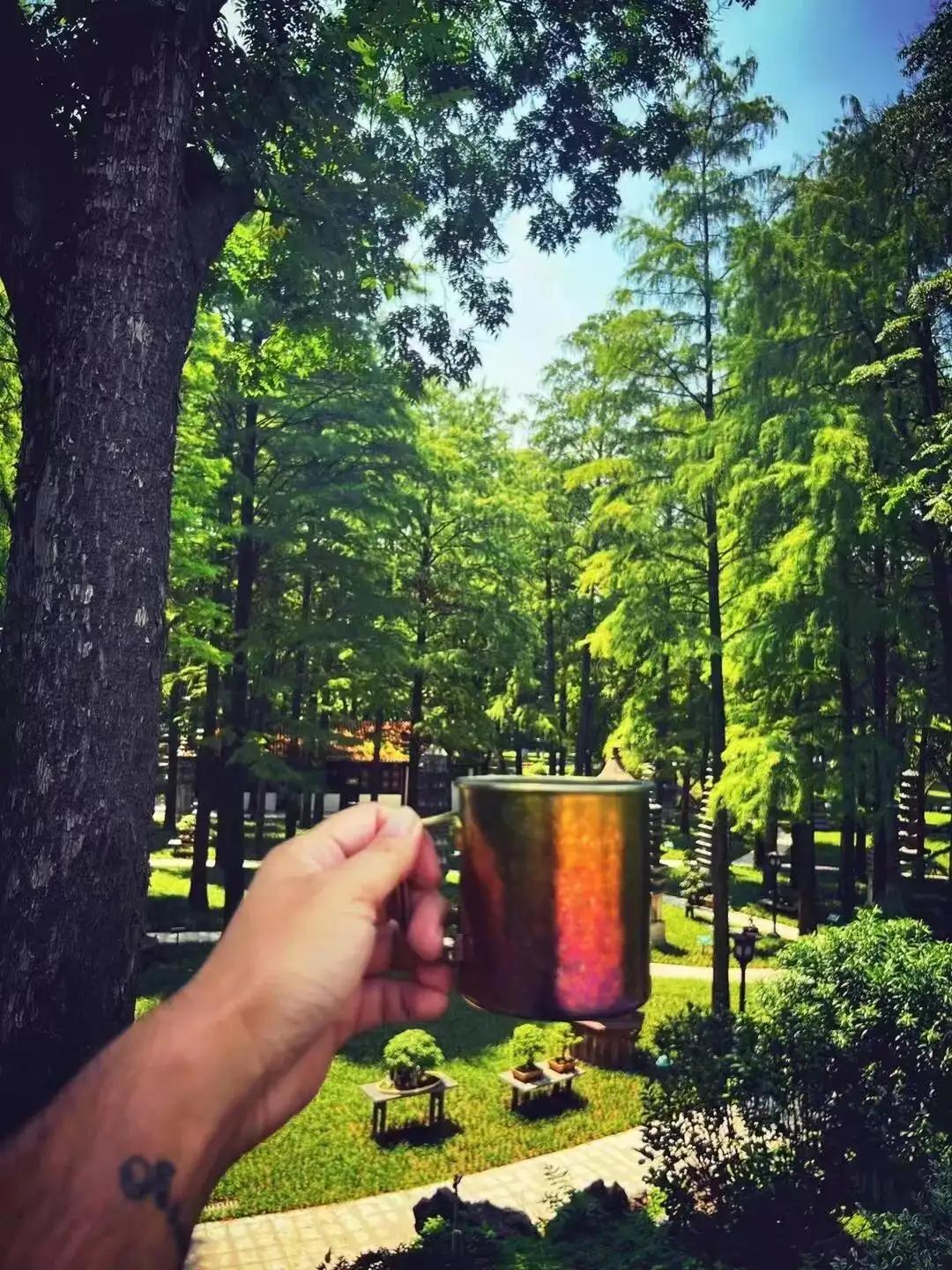 最好的投资是少看小事,好的投资标的