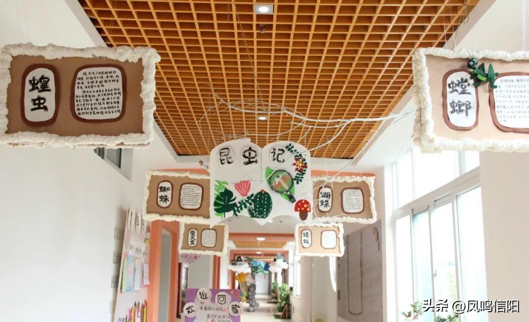 信阳市浉河区最好的幼儿园,我的最美校园