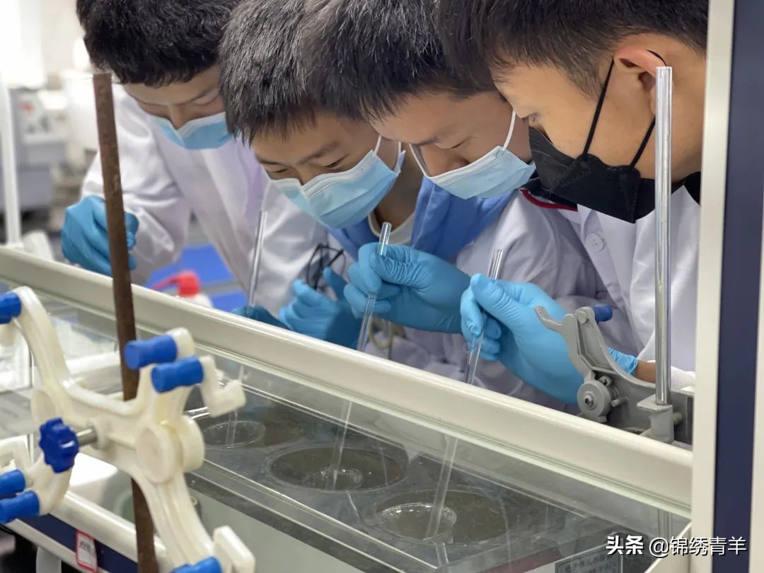 树德协进中学与树德关系,树德协进中学基地班如何