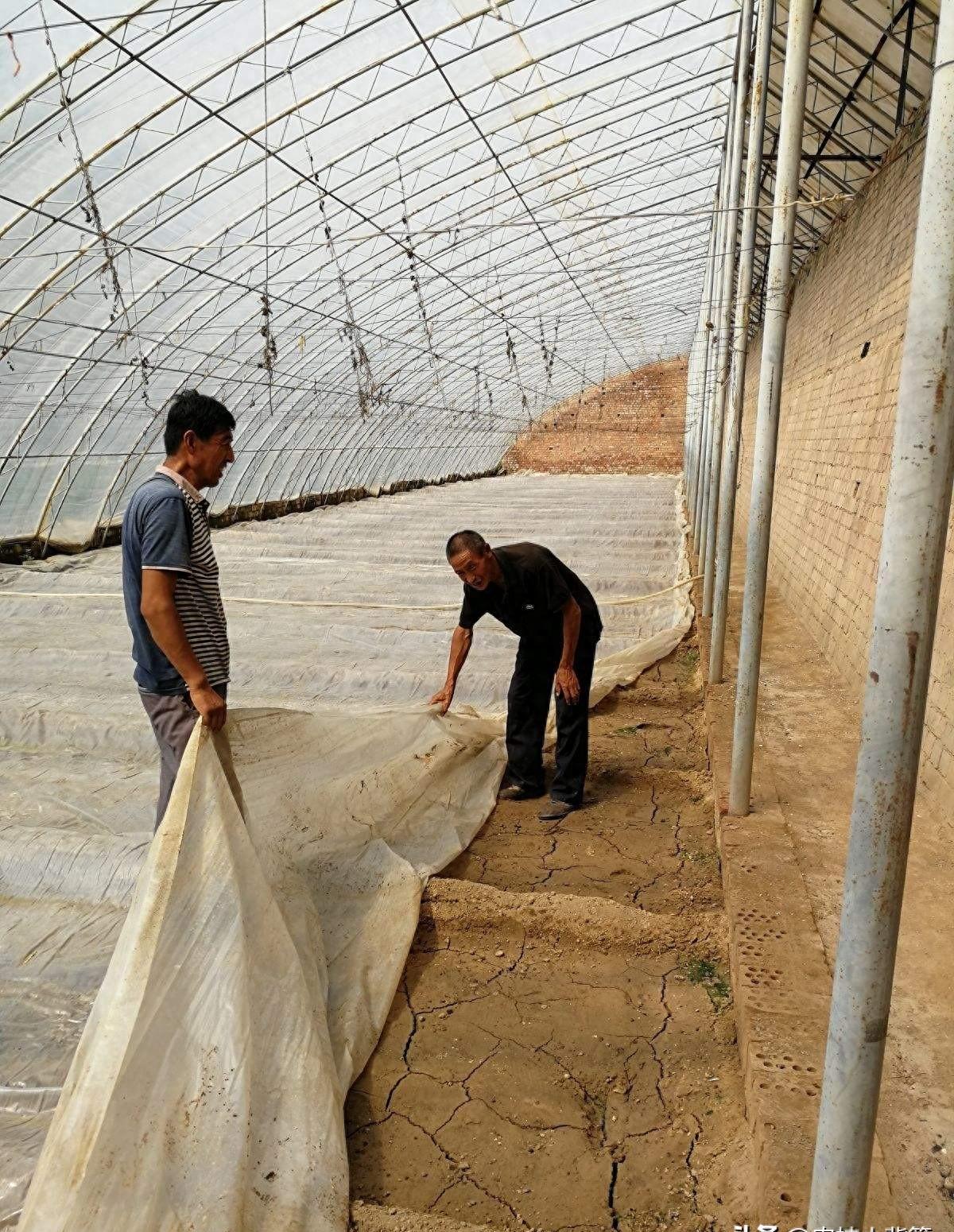 土蚕的预防与消杀,防治土蚕的最好方法