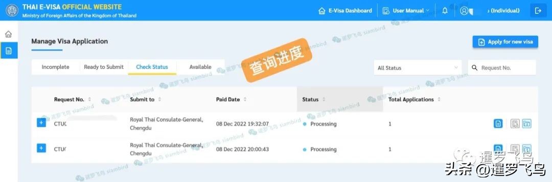 泰国签证电子签入境流程图解大全,泰国旅游签证延期回头签怎么办理