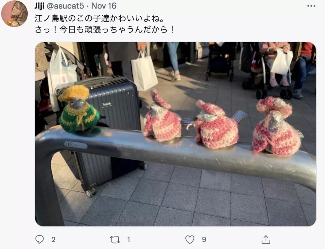 害怕小鸟受凉，有人悄悄为它们织了22年的毛衣