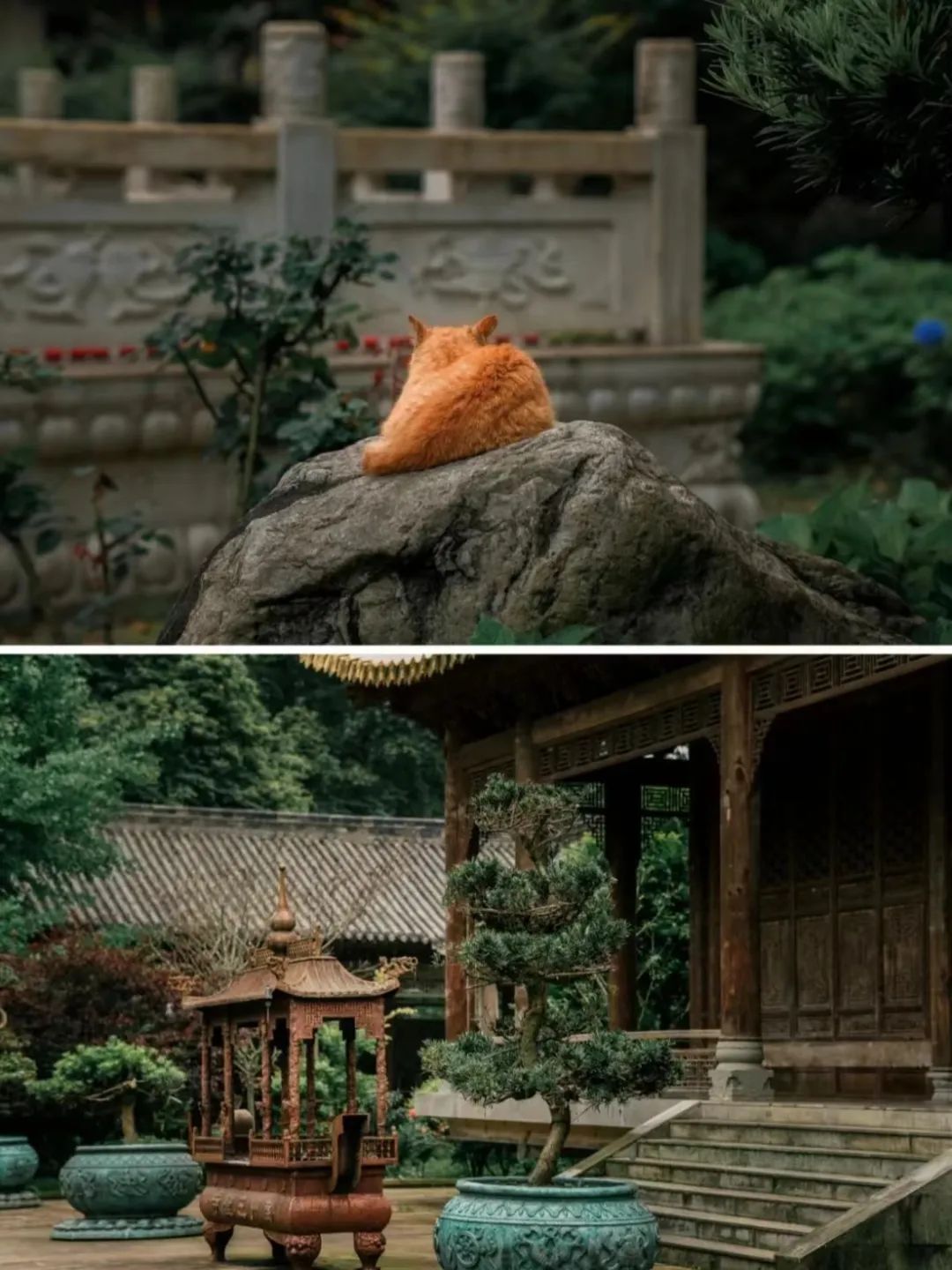 褰窞鐧介箍灏忛晣闇嶆牸娌冭尐,褰窞闇嶆牸娌冭尐