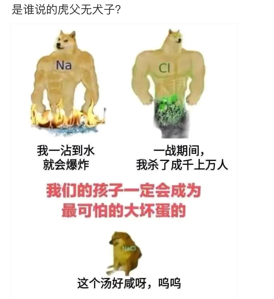 驾校的每一个点都有他存在的意义,驾校的一草一木都有它存在的意义