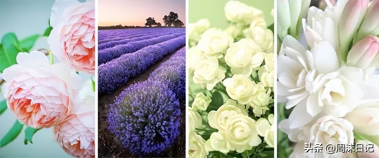 lv历年限定系列,lv这个衣服怎么样