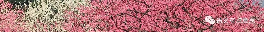 孤山踏青赏梅,去孤山看梅怎么走