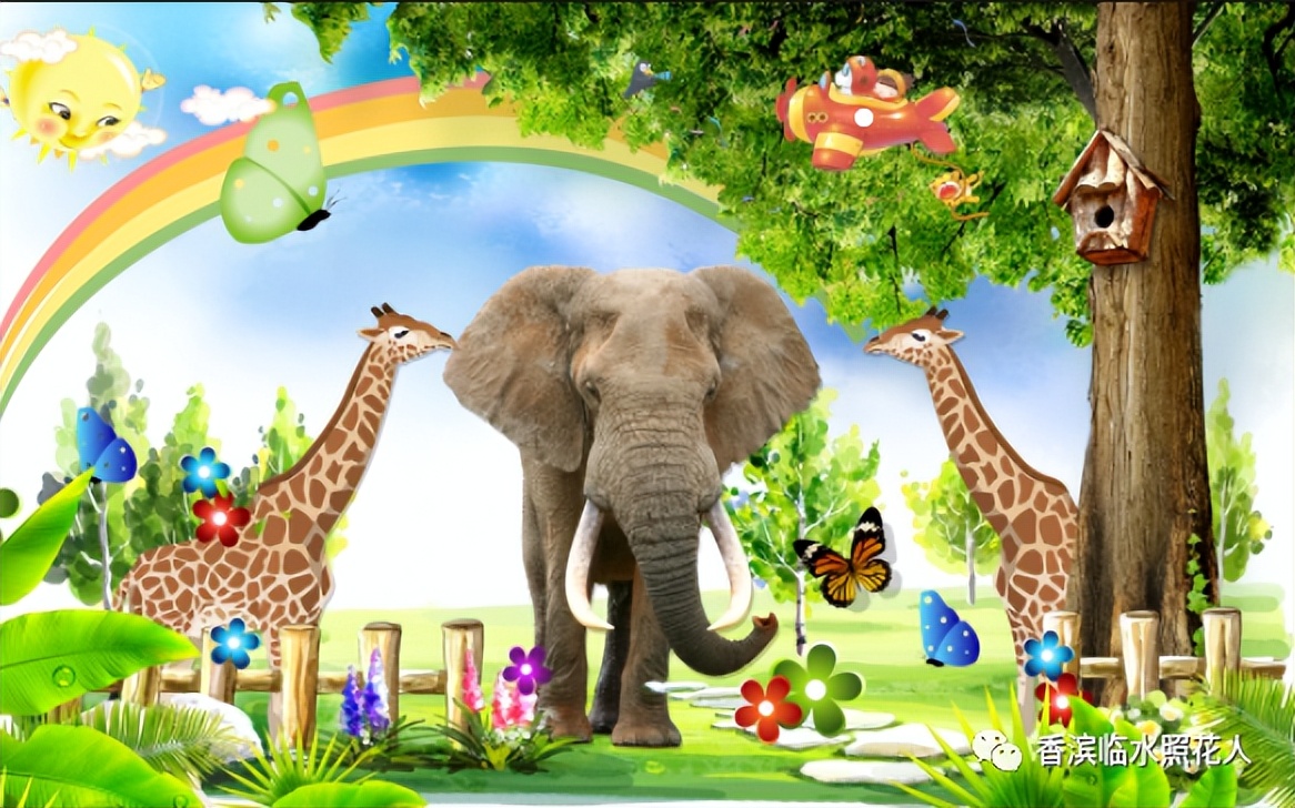 童话故事创编舞蹈2分钟,四年级创编童话故事龟兔赛跑