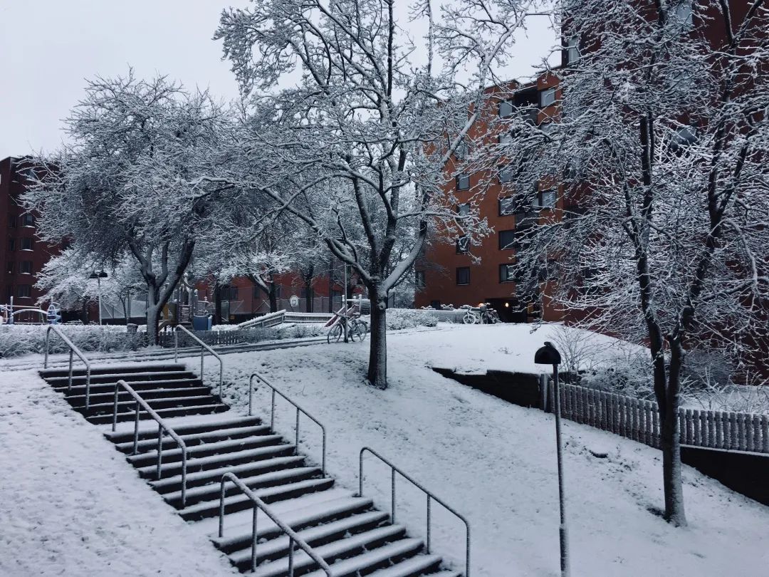 生活在瑞典的真实感受,在瑞典生活的日常