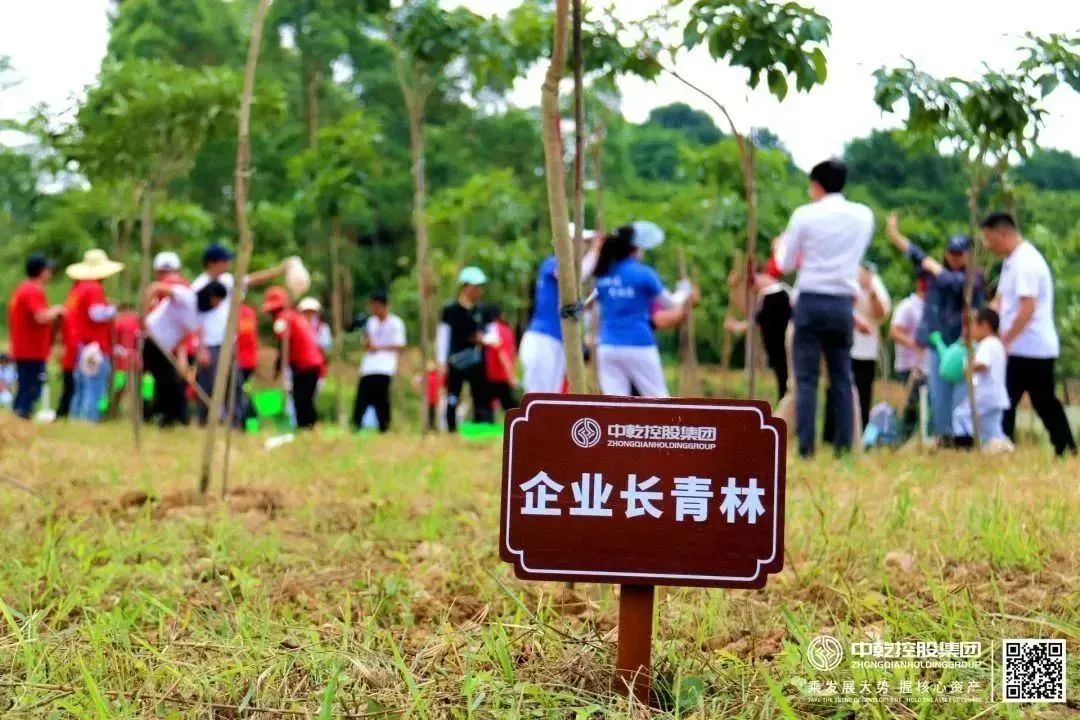 中乾控股集团积极助力绿美广东建设同植企业长青林