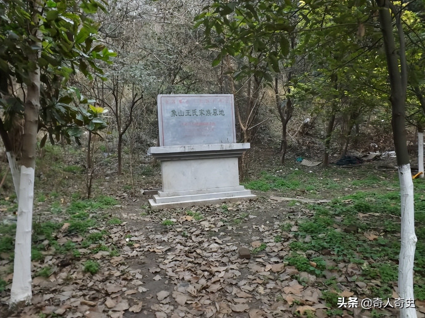 古墓挖出千年仙药图,考古家挖开古墓发现不老仙丹