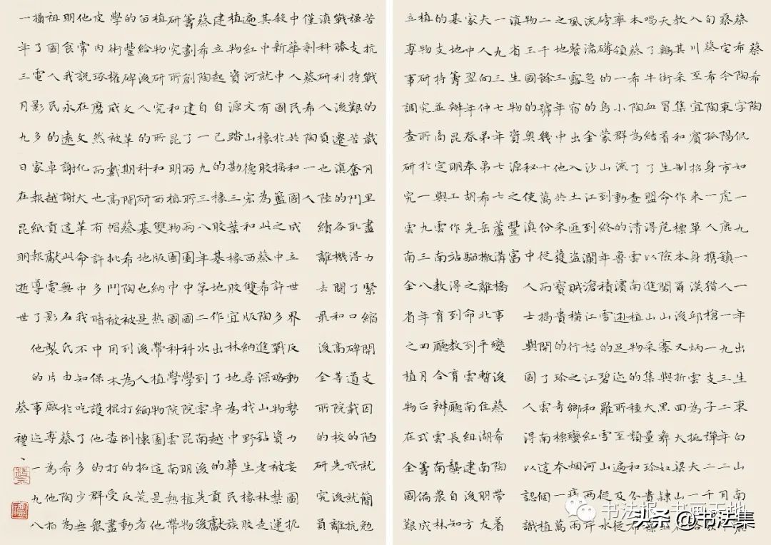 百卉争春——中国书协第八届女书家委员会委员作品选刊