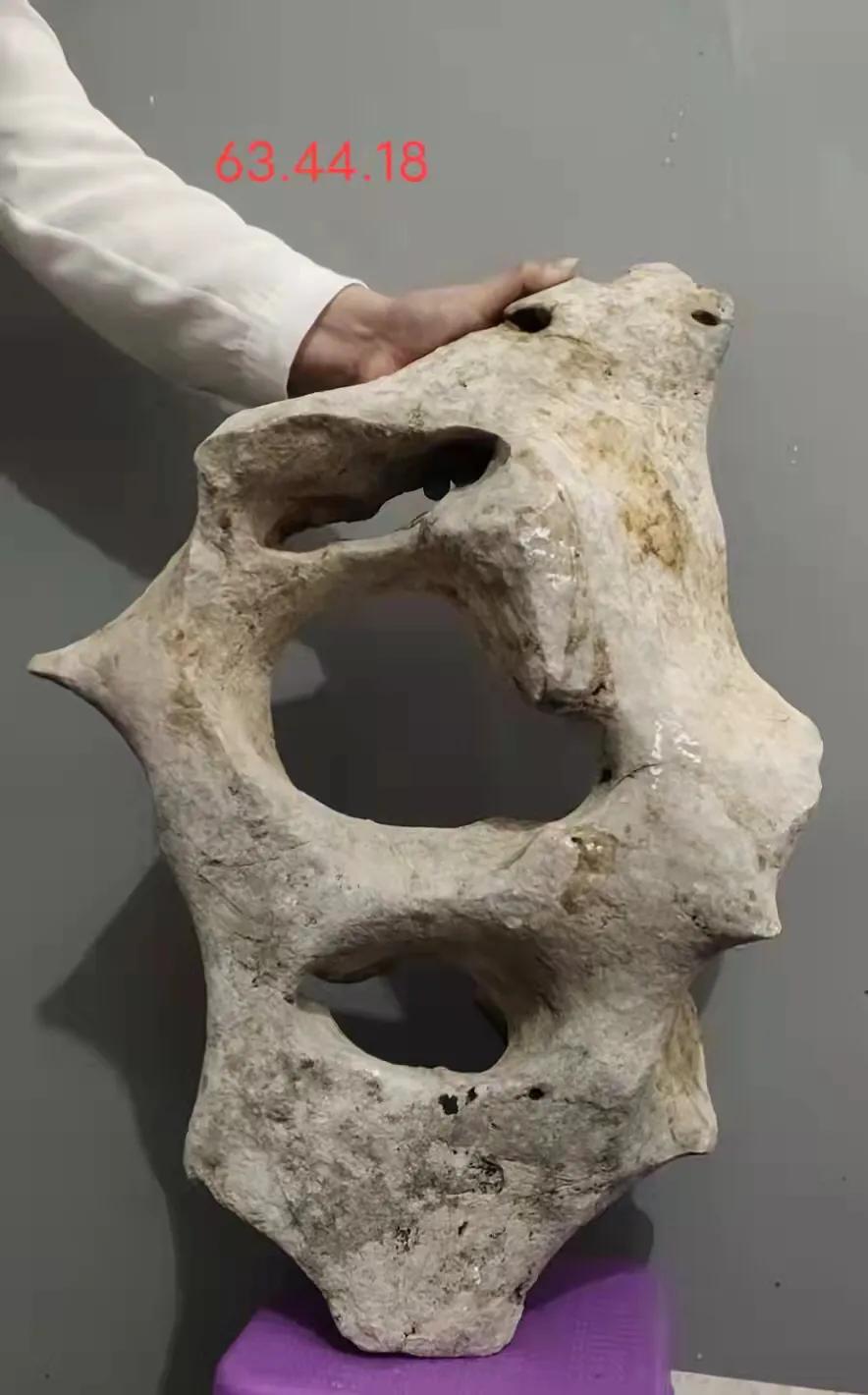 天然太湖石原石小摆件直播,太湖石原石用什么抛光