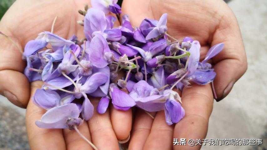 槐花有几种颜色的可以吃,紫色槐花吃了对身体有什么危害