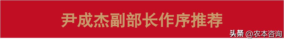 武鸣沃柑什么品种最好,武鸣沃柑热销全球