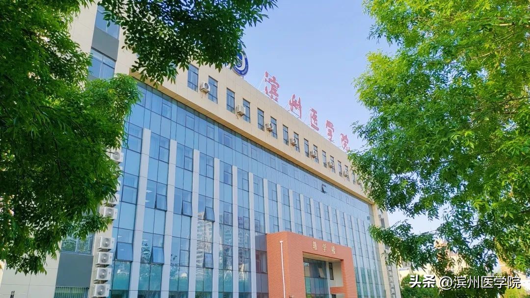 滨州医学院2023年本科招生计划,2020年滨州医学院招生计划一览表