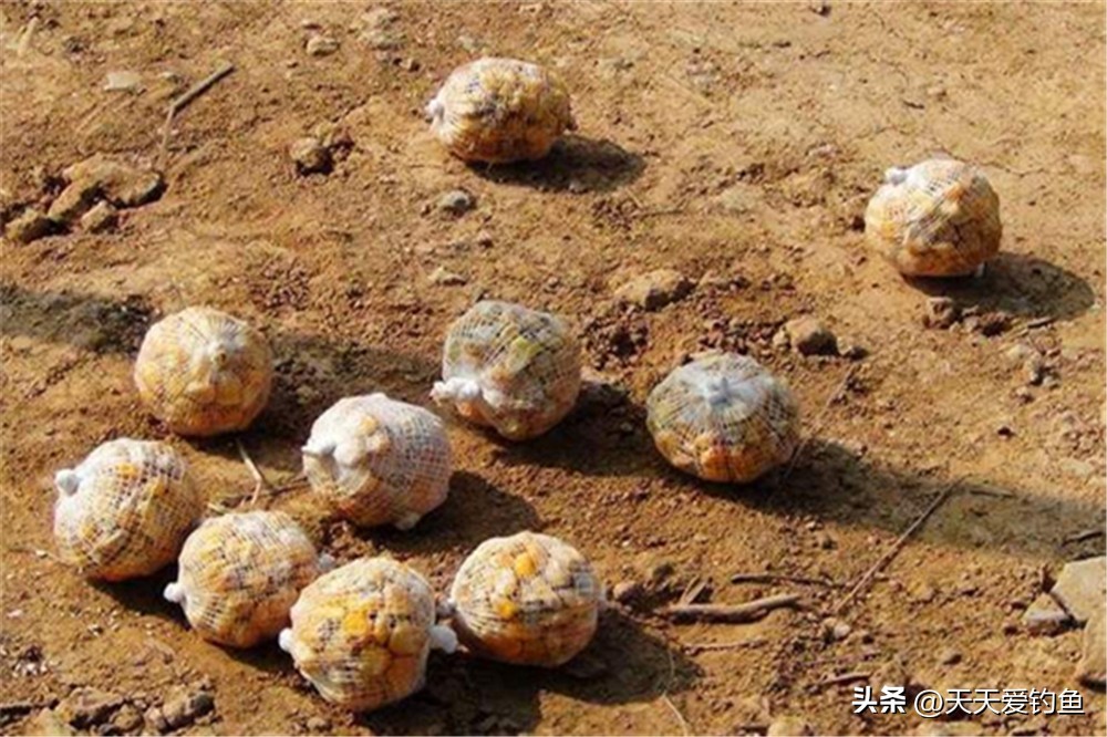 野钓上鱼最佳因素,怎么钓大鱼避免小鱼闹窝