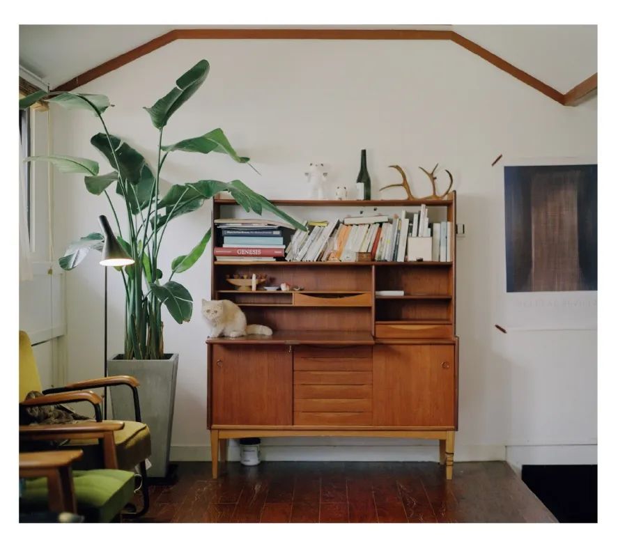 独居上瘾?她9年换租4个上海老洋房:一个人住是我的生活底线