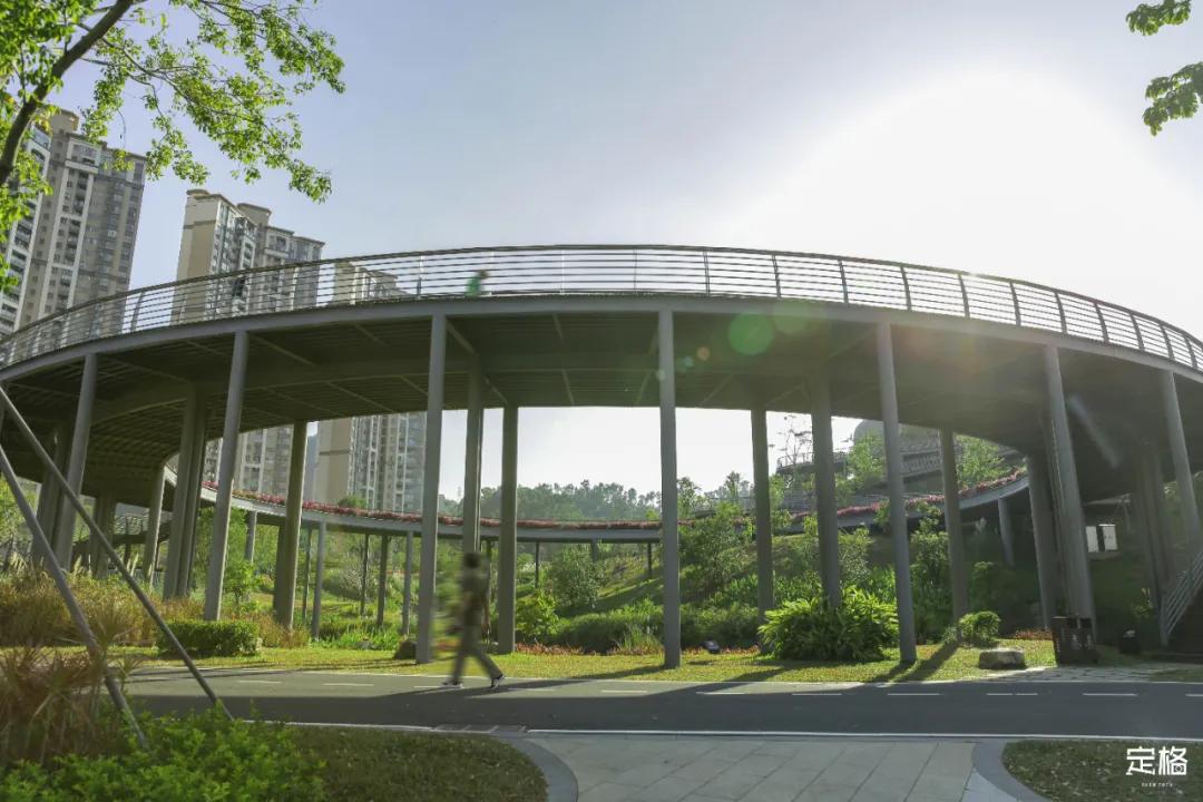 雨林打卡网红地滑梯,深圳哪里有超大型滑梯