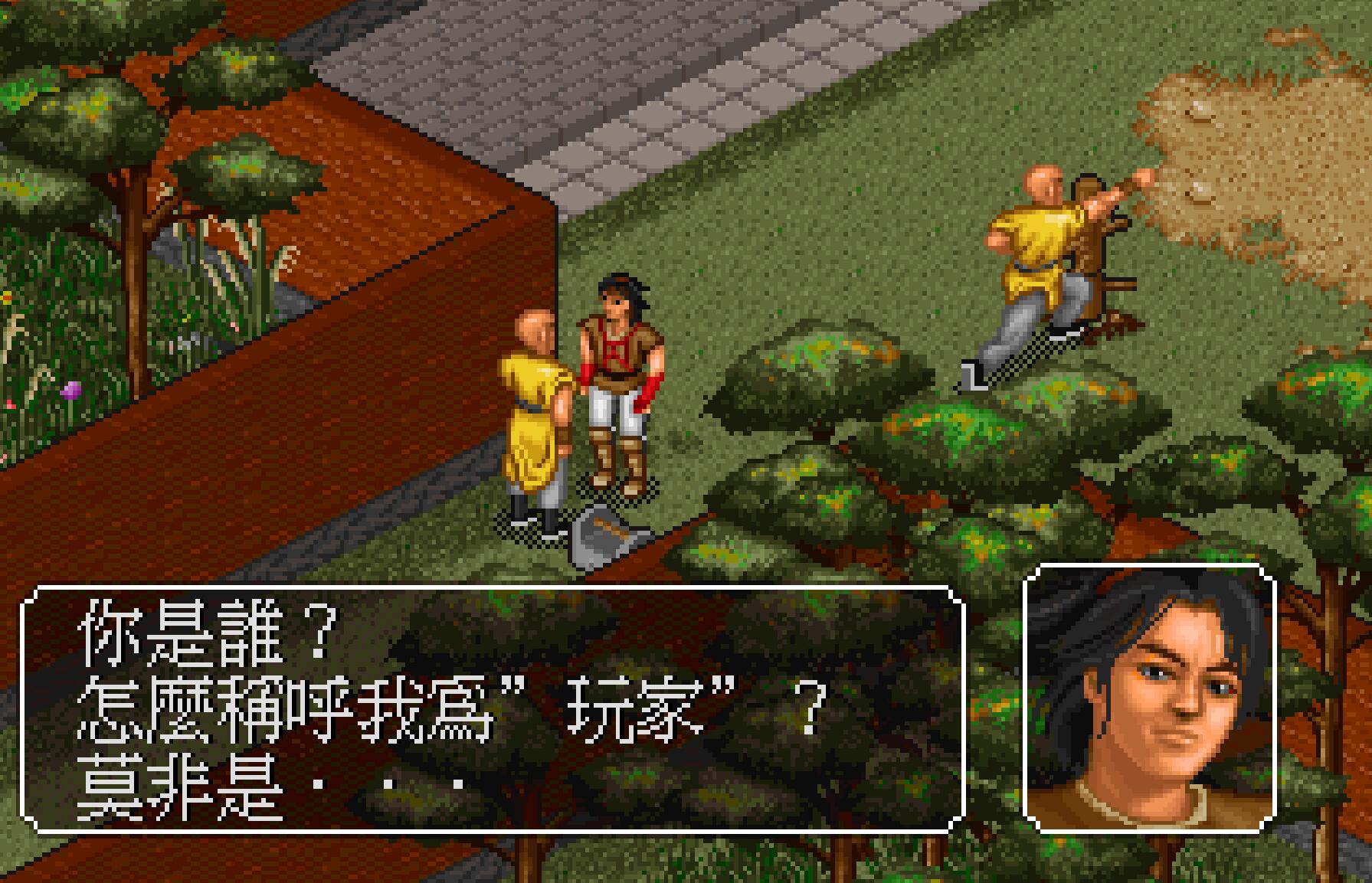 金庸群侠传最强的npc,金庸群侠传被武当npc打