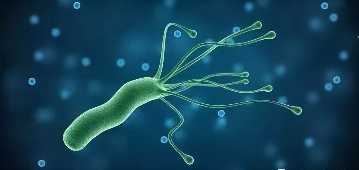 胃肠息肉切除后注意什么,胃肠息肉切除手术后注意事项