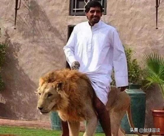 迪拜富人到底有多奢华,迪拜王子和世界首富到底谁更富