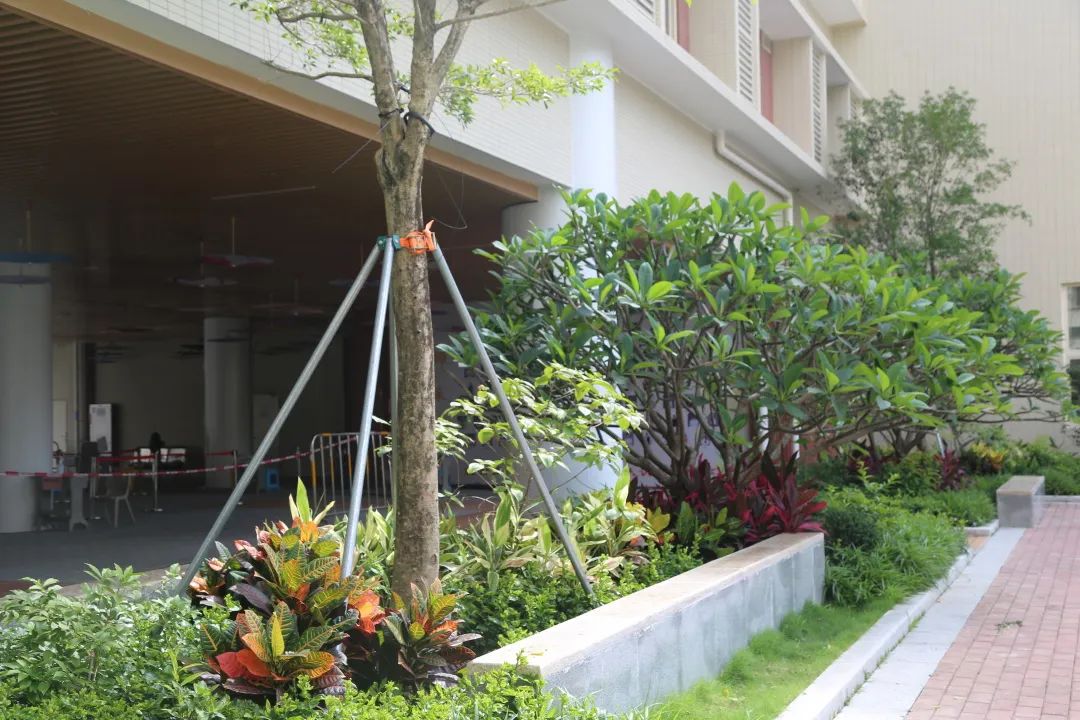 深圳福田2025年幼升小学位紧张吗,新增公办义务教育学位超3000个