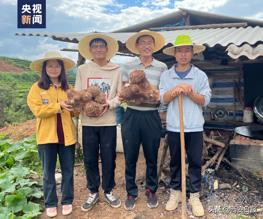 招生减章,招生减章是什么