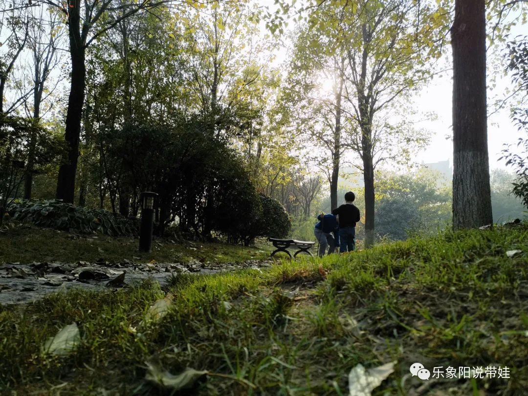 时间都去哪儿了小品完整版,时间都去哪儿了感悟