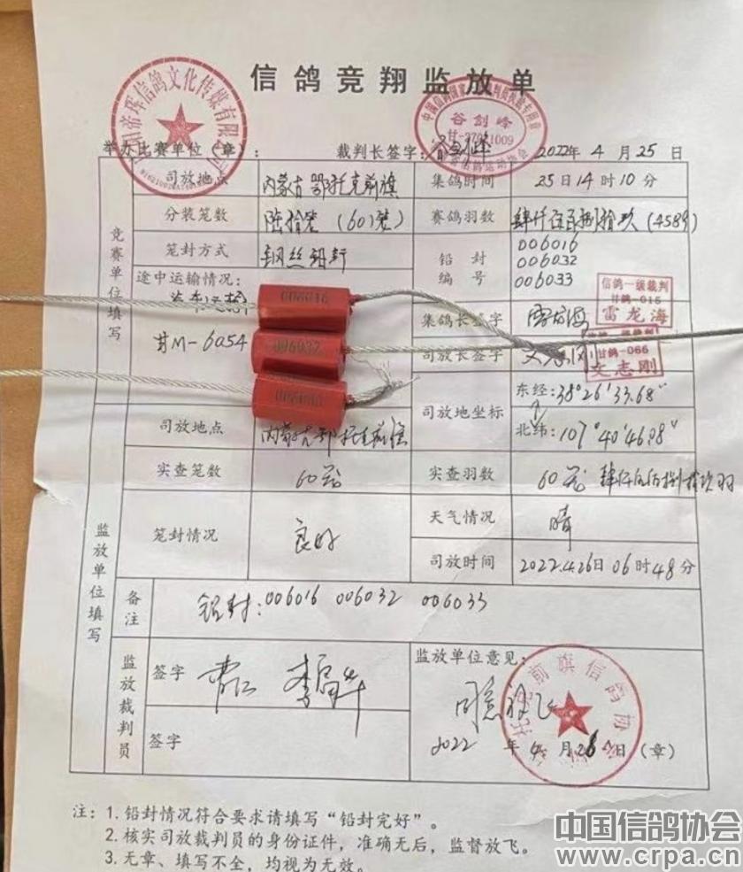 帝珲公棚春赛成绩,2022全国公棚鸽王赛奖金