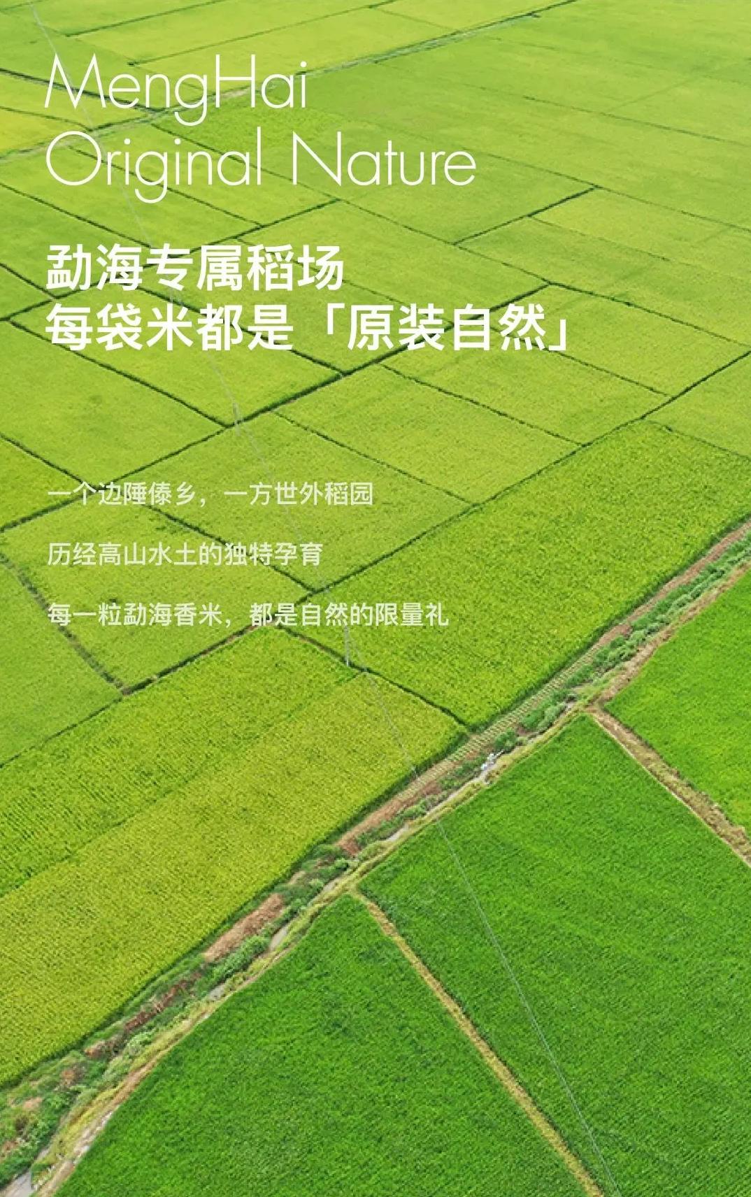 大道恒美×睿谷生态：大品牌战略，赋新生活方式营销