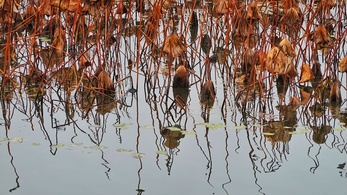 在江苏的“绿林仙海”中，寻找侠气与柔情