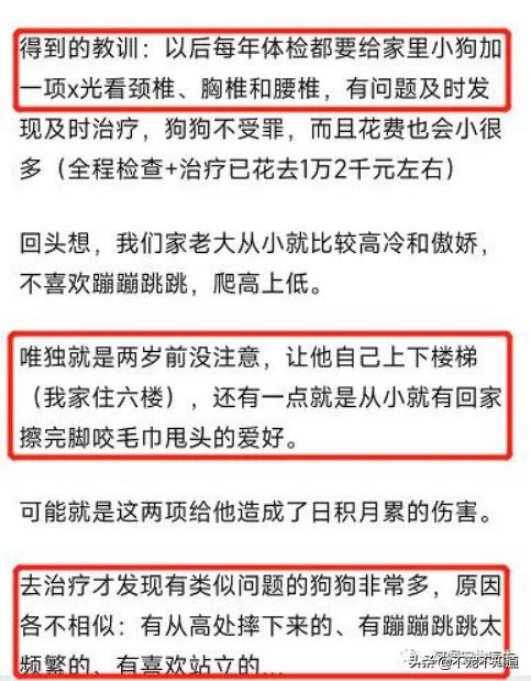 这7种行为对猫咪来说是酷刑,这6种行为在狗狗看来就像惩罚