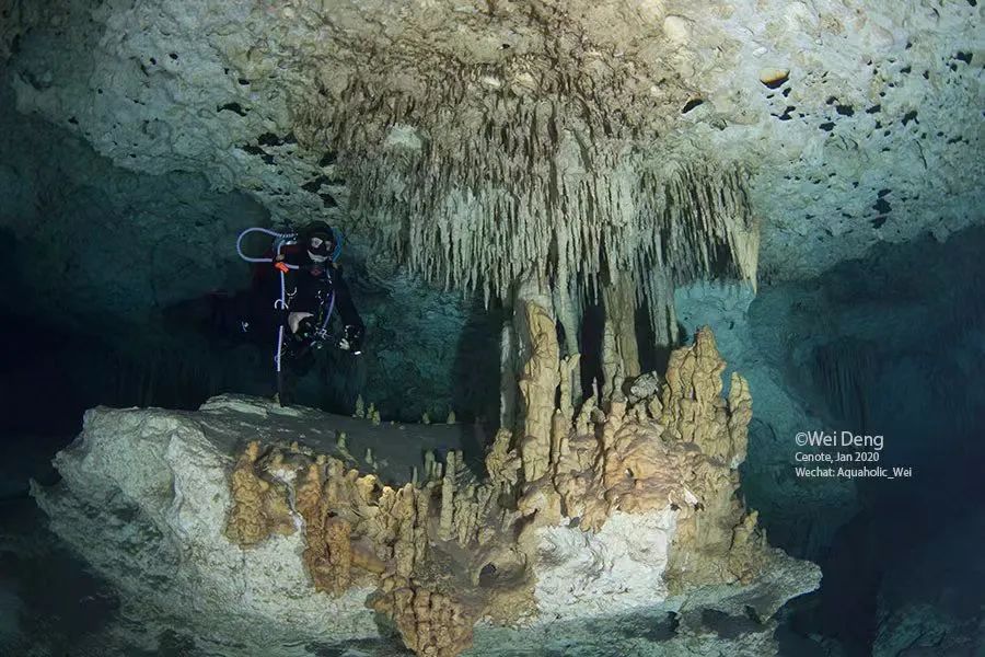 我在南极养企鹅,我在南极的日子