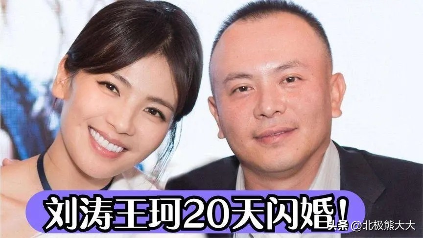 从贤妻到女强人刘涛都经历了什么,贤妻刘涛真实身份