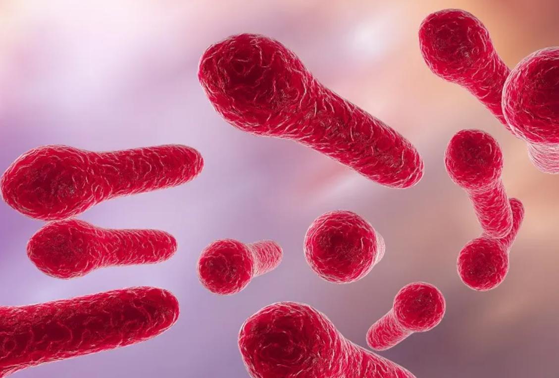 铁锈的危害有多大？一个放满生锈铁器的密室，可以瞬间让人死亡