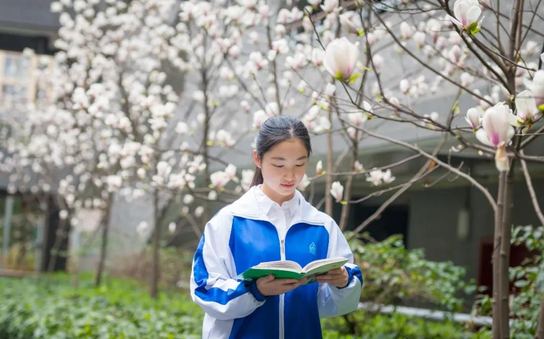 成都天府新区教师招聘100人,成都石室锦城外国语学校教师招聘