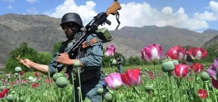 金三角探秘神秘千年古墓,金三角探秘越南