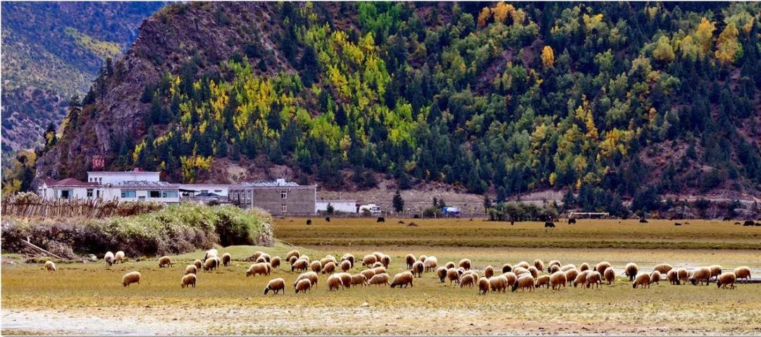 国内十大免费旅行圣地 (10个国内性价比最高的小众旅行地)