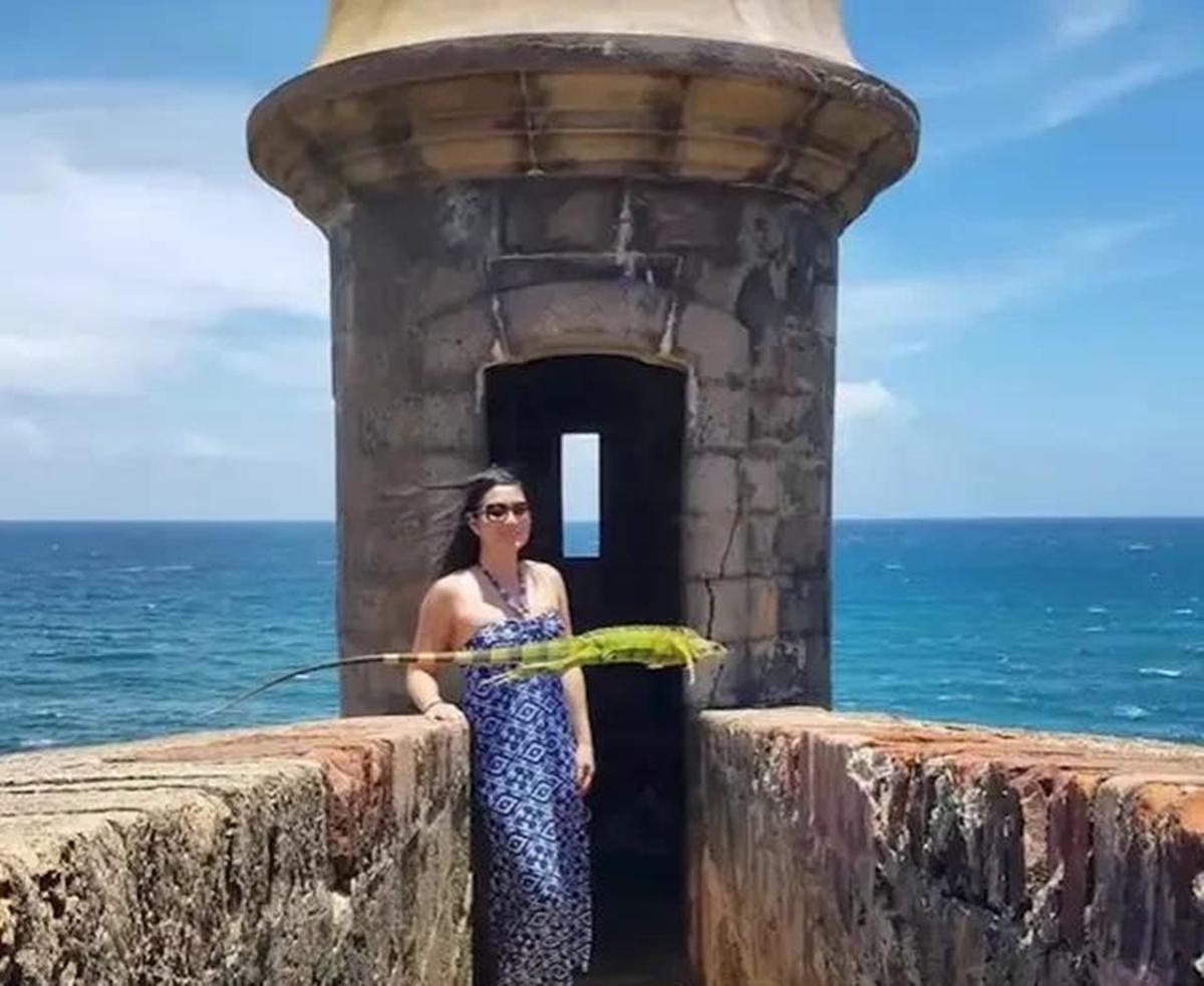 20张让人开怀大笑的猫咪照片,100张有趣猫咪照