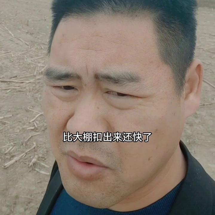 鍗佷簩鍗佷笁鍗佸洓鑻辫,鍗佷簩鍗佷笁鍗佸洓