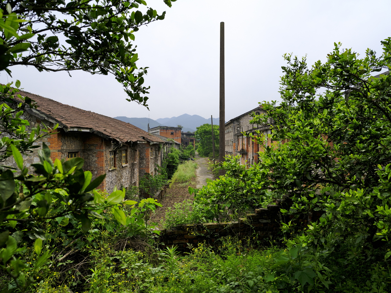 宜都717三线工厂,宜都717厂历史