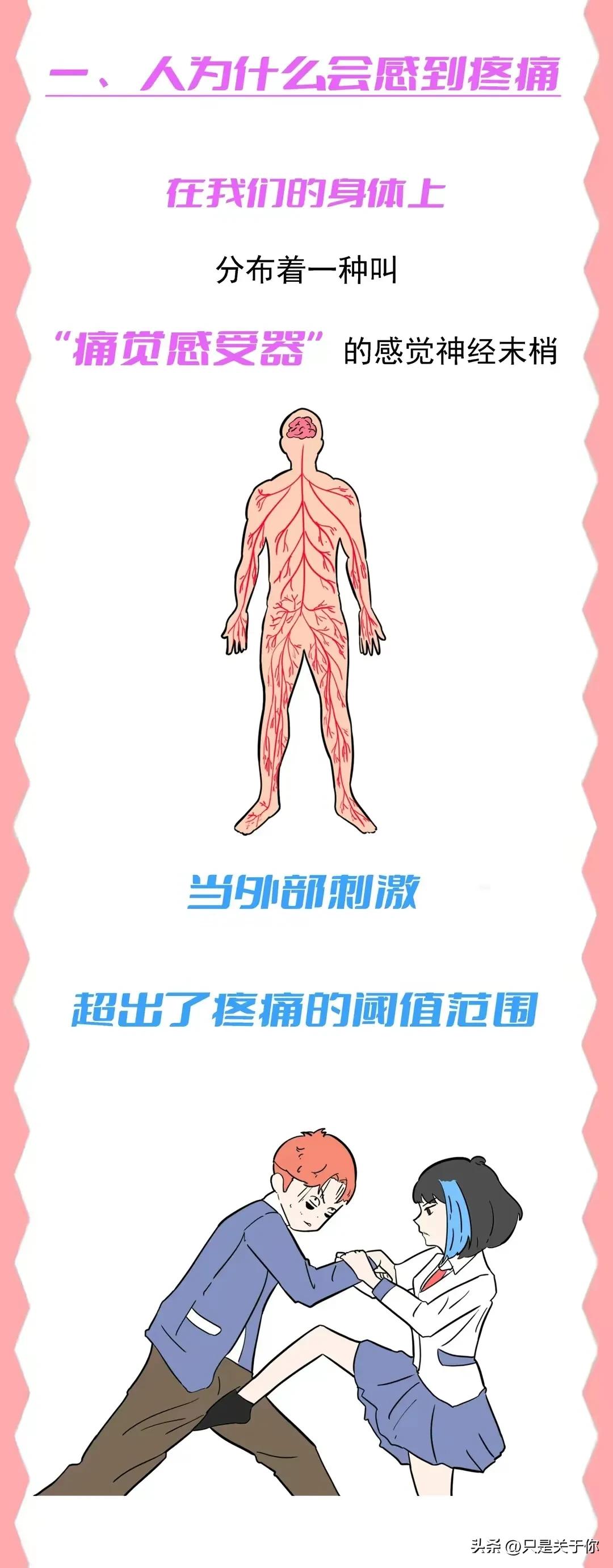 漫画：*处私**受到攻击时，男女谁的痛感更强？