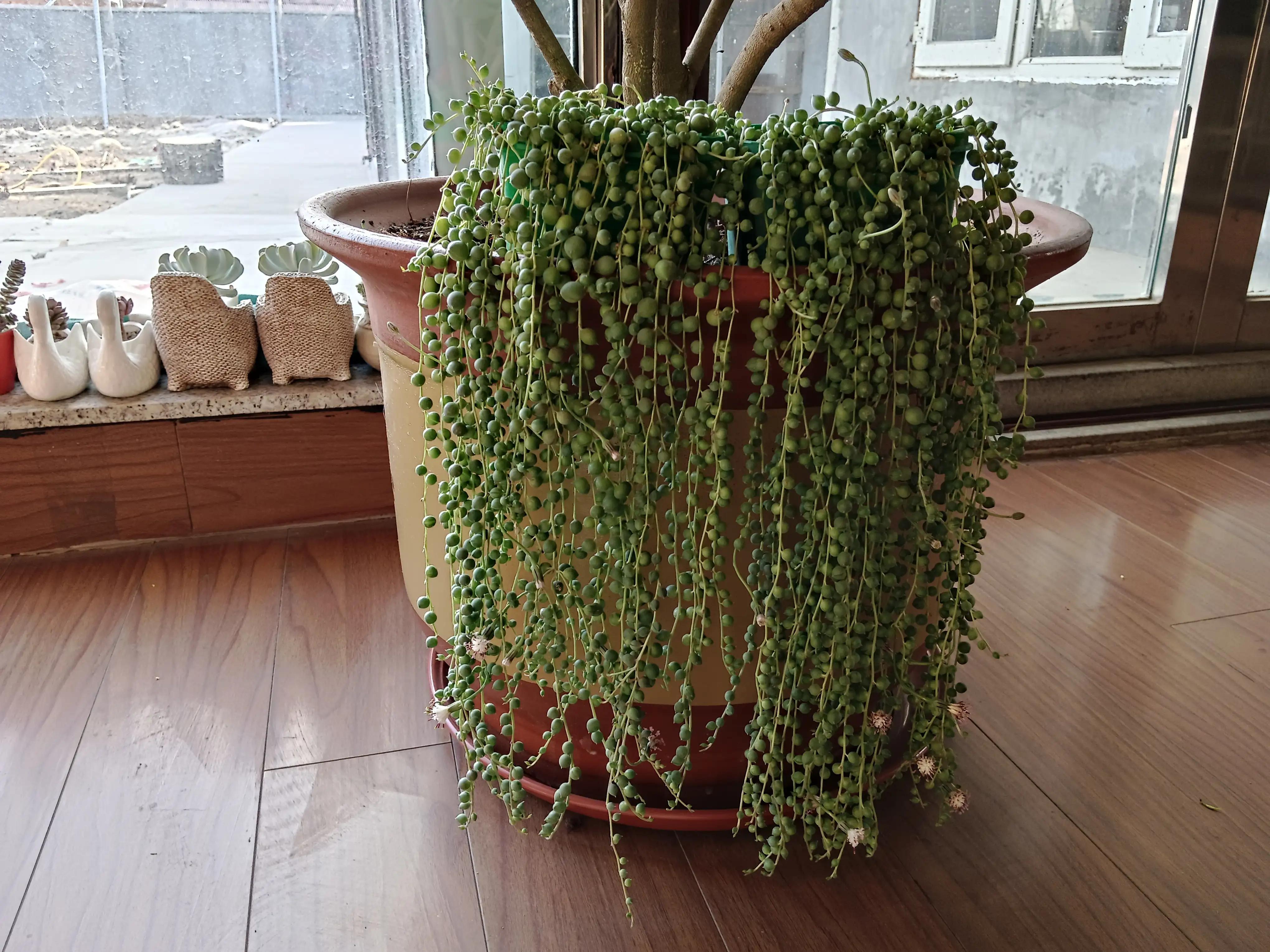 带有季节加数字的诗句飞花令,诗词飞花令季节