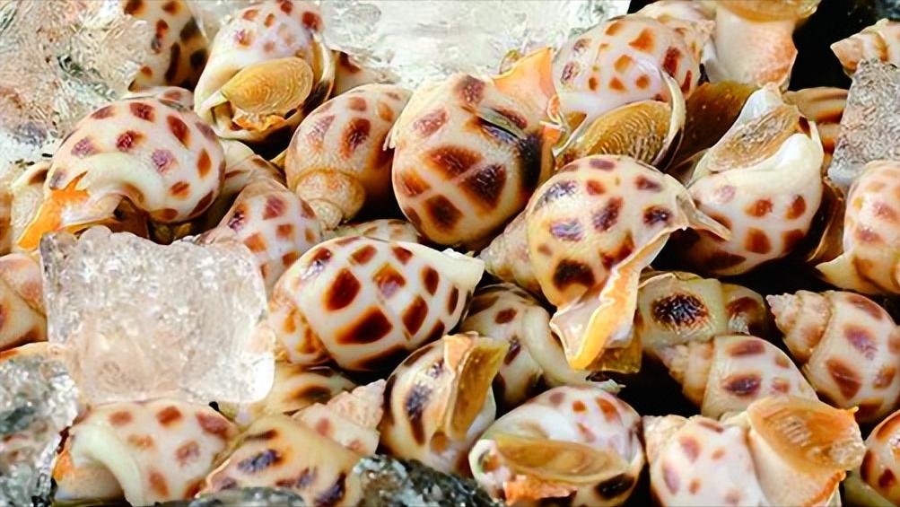 如何做好水产海鲜生意,海鲜店开店流程及费用